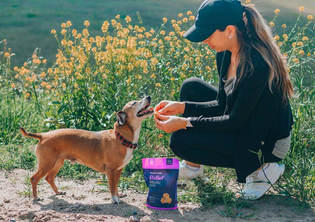 How to Choose & Use a Dog Skin Supplement Pets at Home: A Vet-Backed Guide for Itchy, Flaky Coats