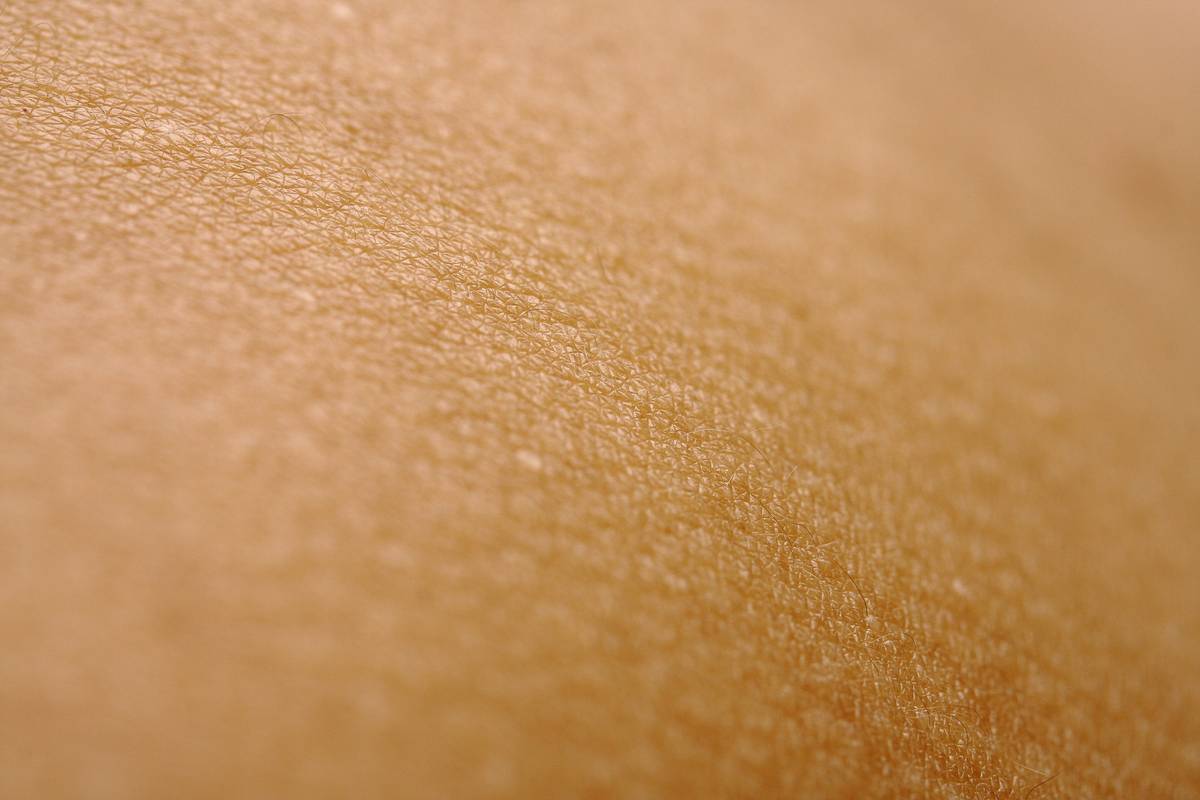 Medicated Dog Shampoo for Skin Allergies: What Actually Works (And What’s Just Marketing)
